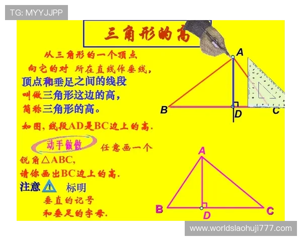 角子机是什么关于角子机的法律法规和相关政策介绍